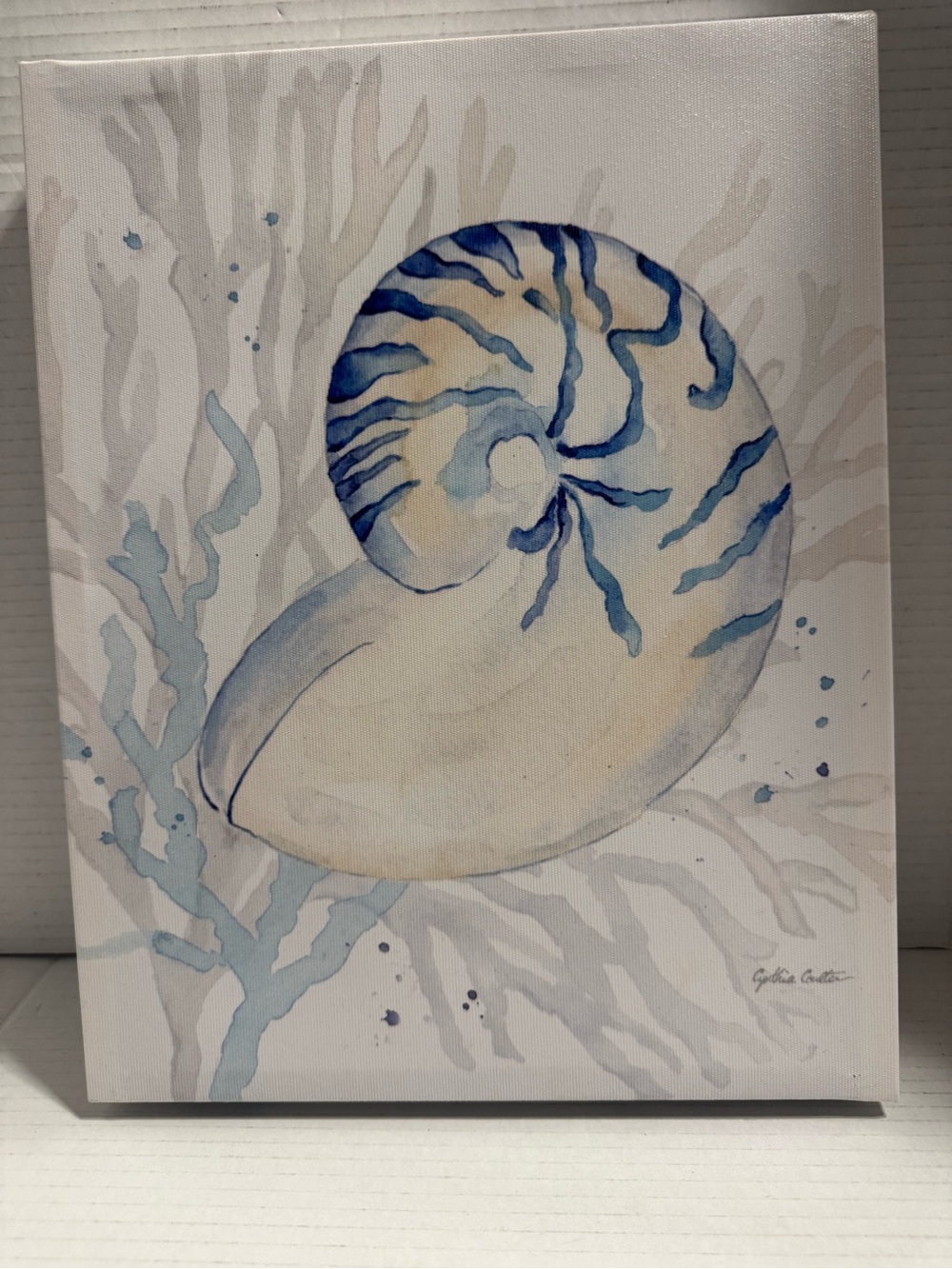 Nautilus Shell Canvas Art - Blue and Cream Coastal Print
